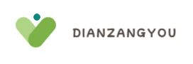 dianzangyou.com